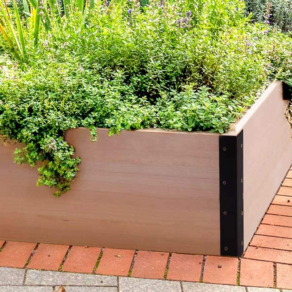 71WTtwhEa7L._AC_SL1000_