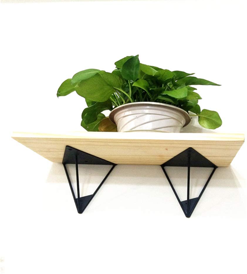 51Q5-9TzGQL._AC_SL1001_